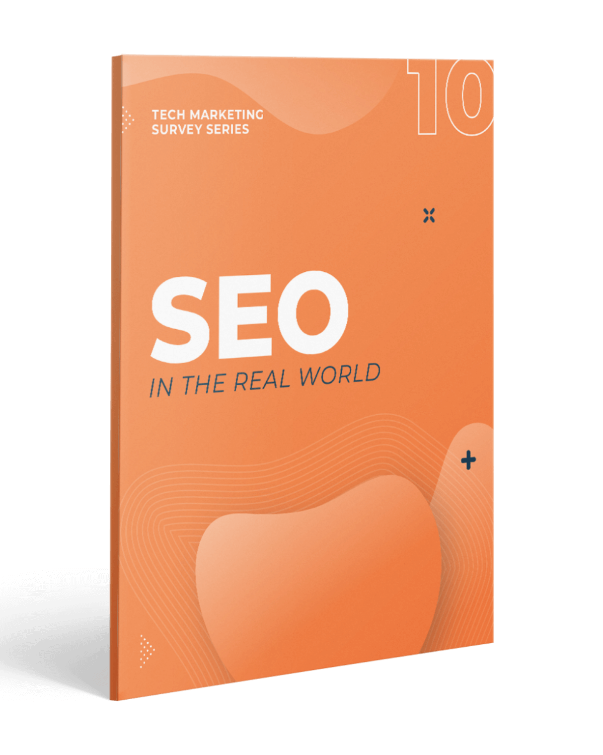 seo in the real world cover